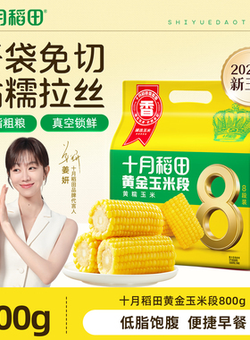 25年新玉米十月稻田黄糯玉米段东北新鲜糯玉米低脂粗粮免切800g
