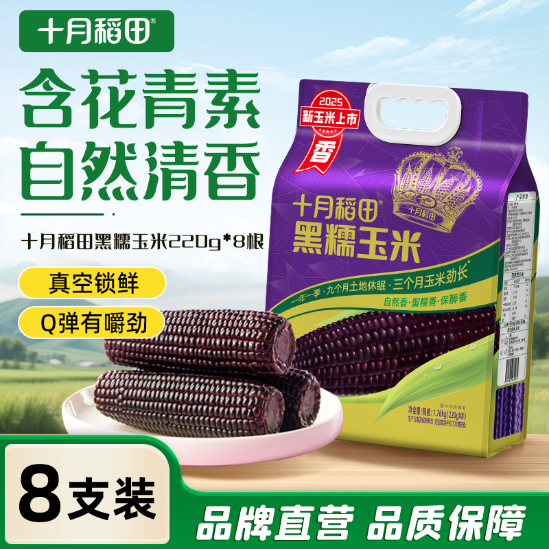 十月稻田东北黑糯玉米8根
