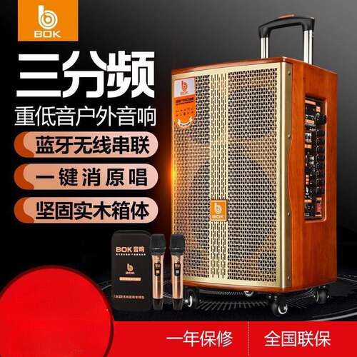 德国BOK大功率广场舞音响户外K歌带声卡网红演出直播拉杆音箱
