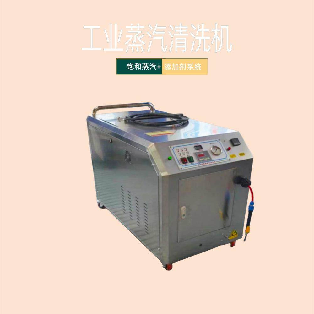 工业蒸汽清洗机模具机械除油污清洁设备高压热水除菌高温除菌