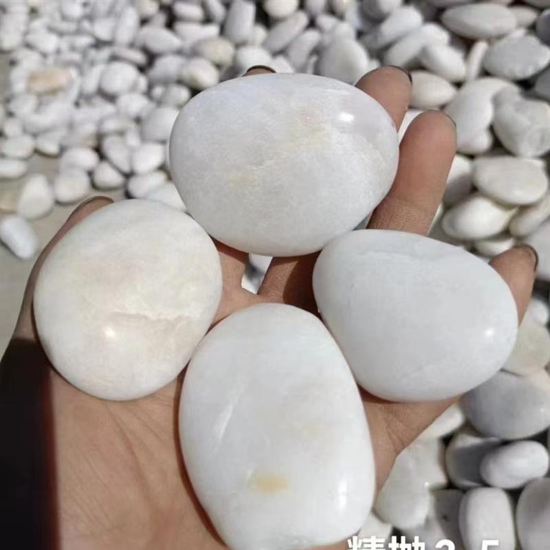 广东高抛纯白白色鹅卵石子石头庭院铺路园艺阳台装饰抛光雨花石