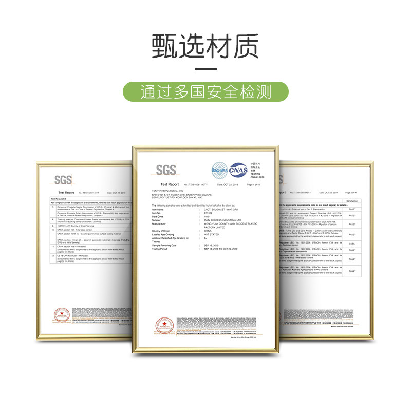 BOON啵儿仙人掌盆栽清洁刷多功能清洗刷杯子全套奶瓶刷吸管工具刷
