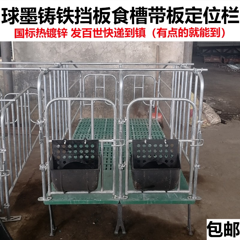带板母猪定位栏限位栏10猪位加厚带漏粪板食槽国标2.5厚养猪设备