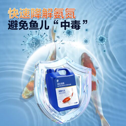 硝化细菌锦鲤鱼池用净化水质大桶消化活菌液分解粪便养鱼缸净水剂