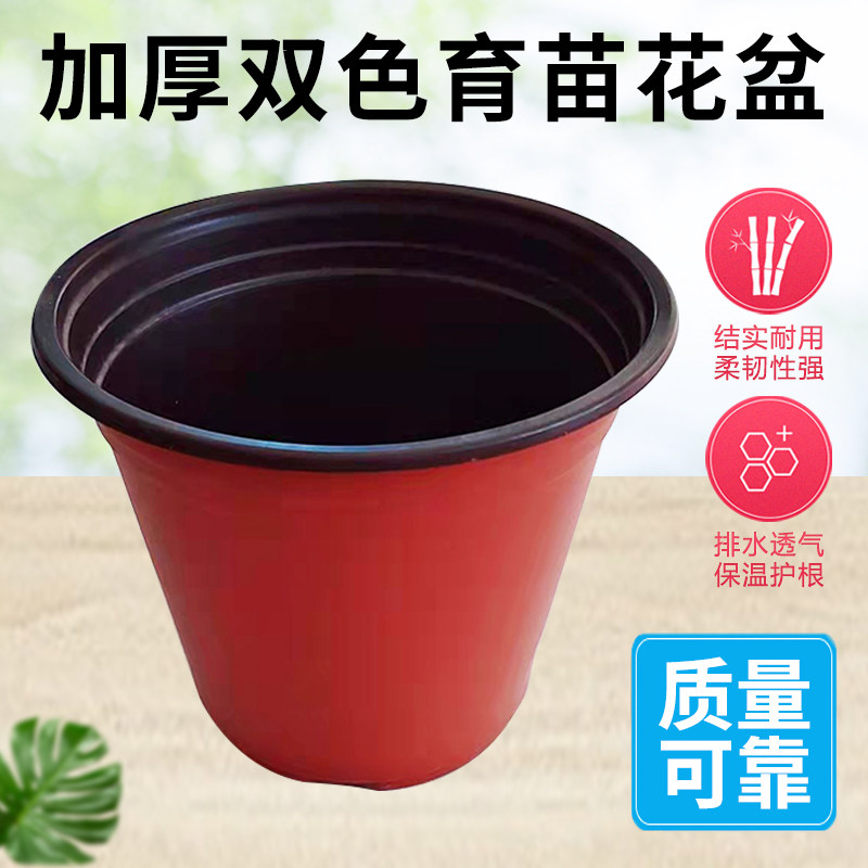 双色盆一次性育苗花盆营养钵多肉扦插种植培育盆外红内黑育苗盆