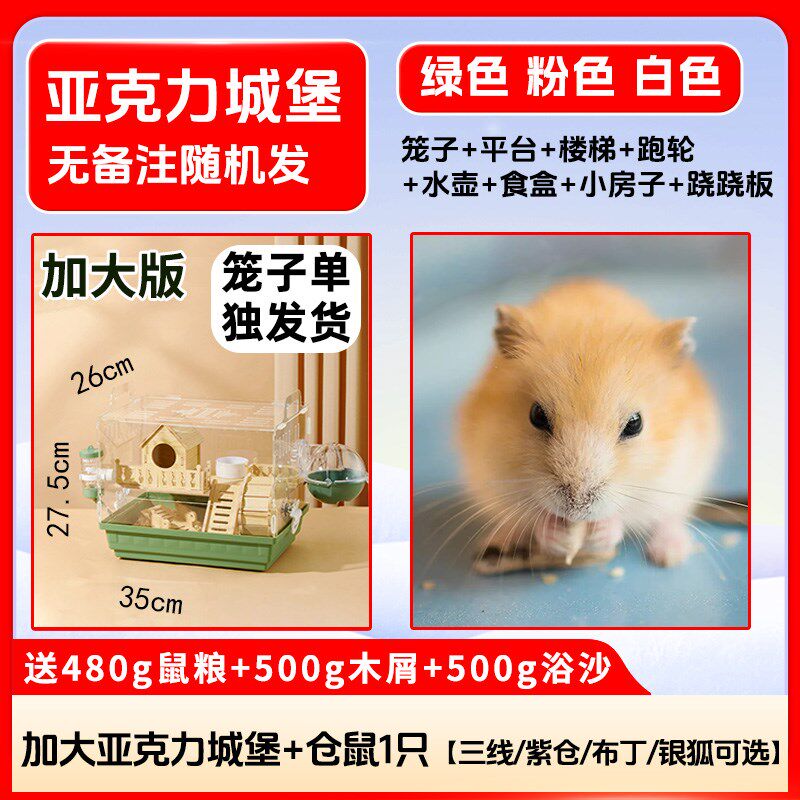 小仓鼠活物送笼子巨型金丝熊类家养宠物小型好养奶茶活体已打疫苗