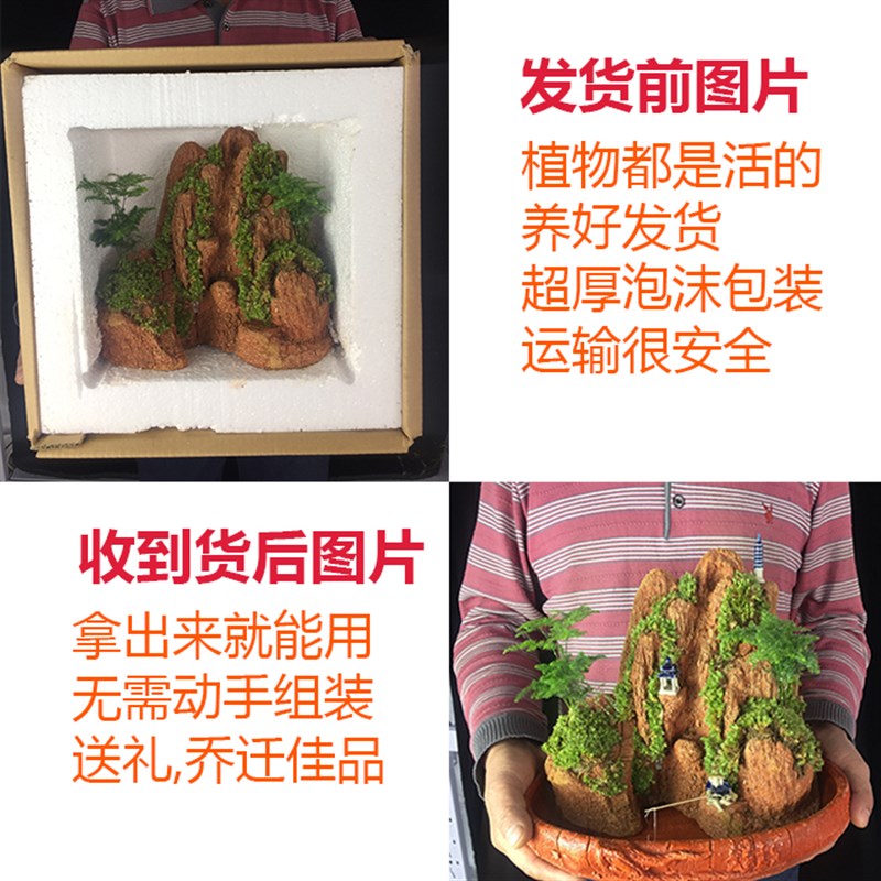 山居秋暝上水石盆景吸水石造景天然假山摆件室内小奇石原绿植盆栽