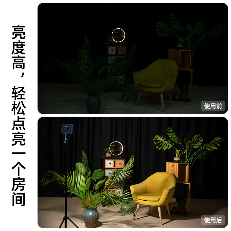 斯丹德LED摄影灯520 双色温影棚补光灯 迷你便携打光灯520型号 斯