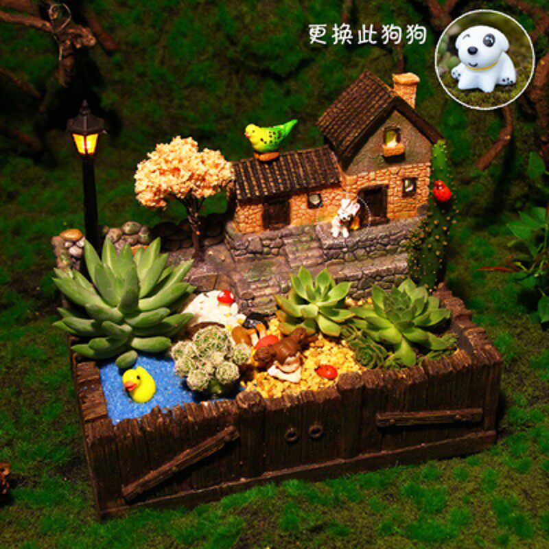 多肉植物组合盆栽办公室防辐射DIY桌面绿植盆景含盆微景观礼物
