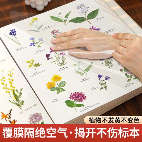 覆膜自粘贴式植物标本收集册树叶干花押花收纳保存创意相册本制作