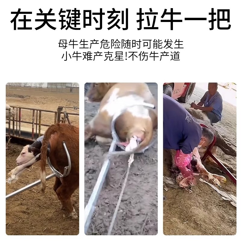 助产器牛用进口母牛助产器奶牛接生工具不锈钢助产辅助器犊牛接生
