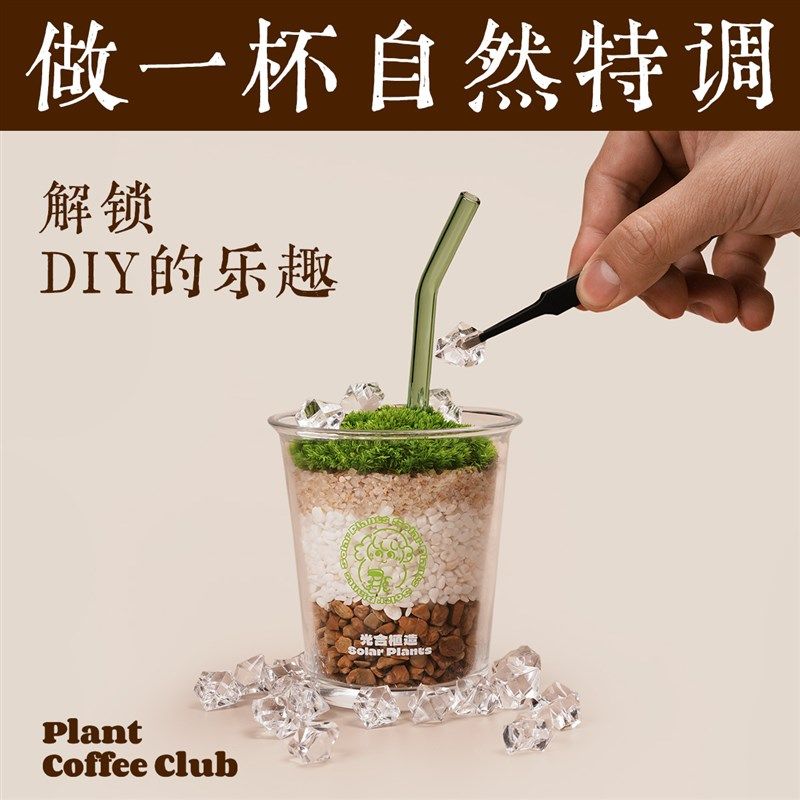 女神节礼物 植人咖啡 创意办公室桌面植物苔藓微景观DIY种植礼盒
