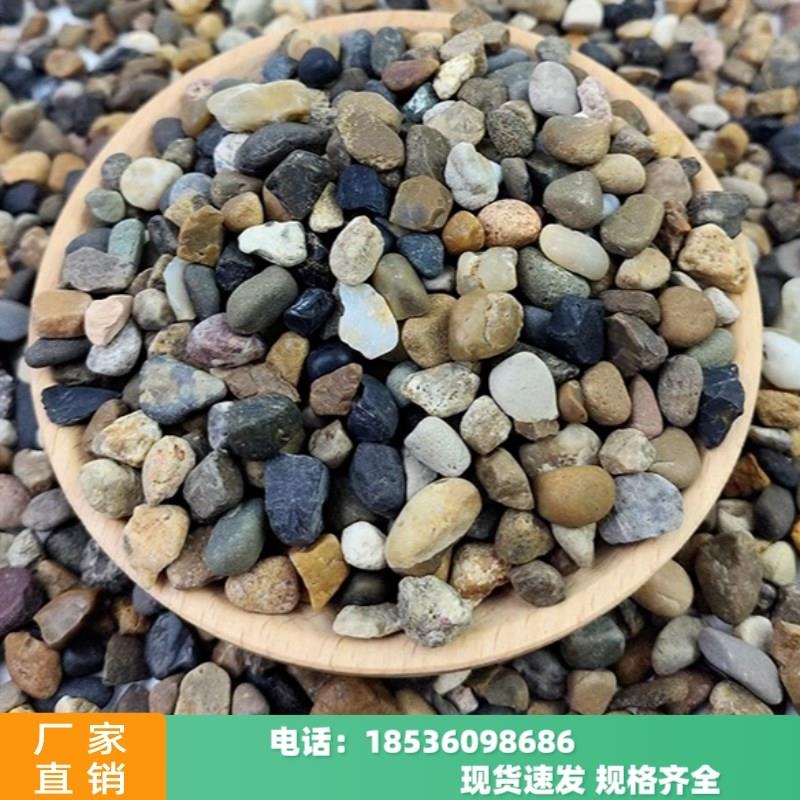 辽宁天然鹅卵石沼泽过滤石地暖找平回填豆石水洗滤料石子造景石子