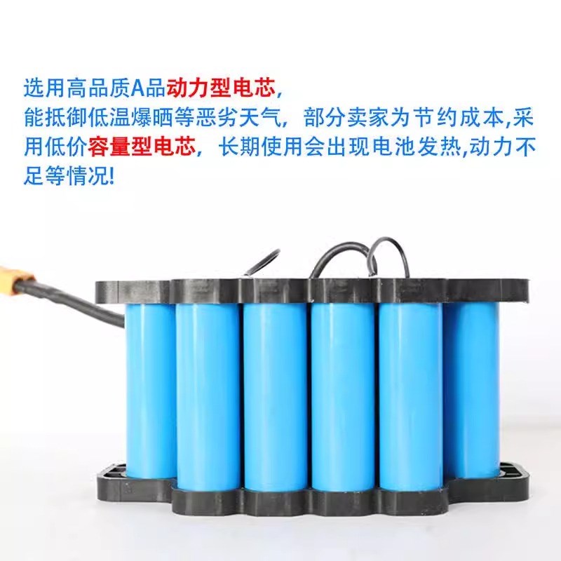 阿尔郎平衡车锂电池24V通用29V大容量儿童电动两轮车电瓶电源合一