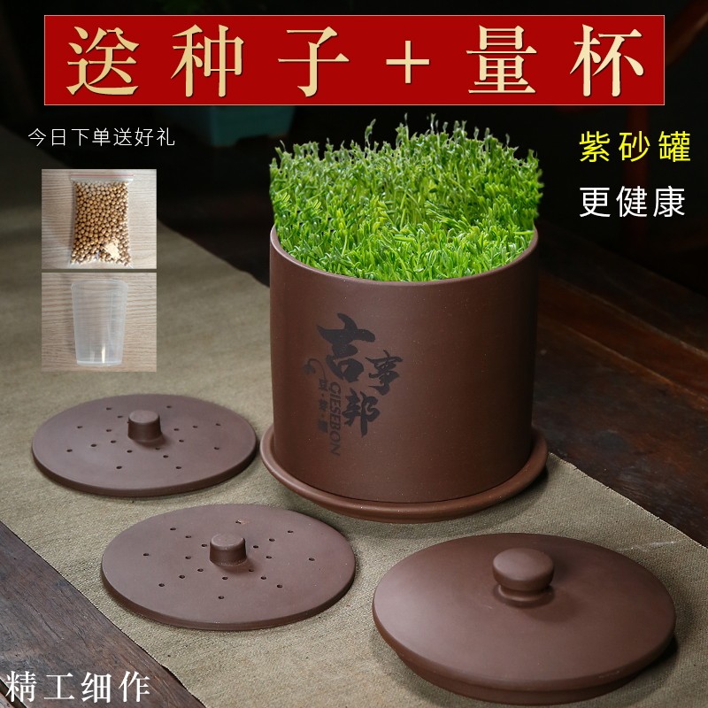 宜兴紫砂豆芽罐绿豆黄豆种植盆大中小号苗芽菜机家用自动发豆芽机