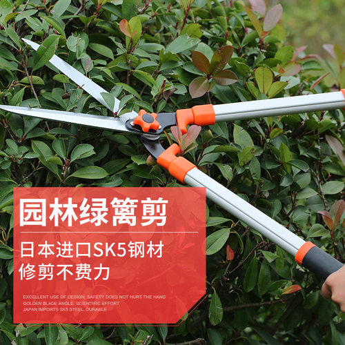 园艺园林绿化修枝工具修枝剪花园剪草大剪刀修剪花木树枝强力剪刀