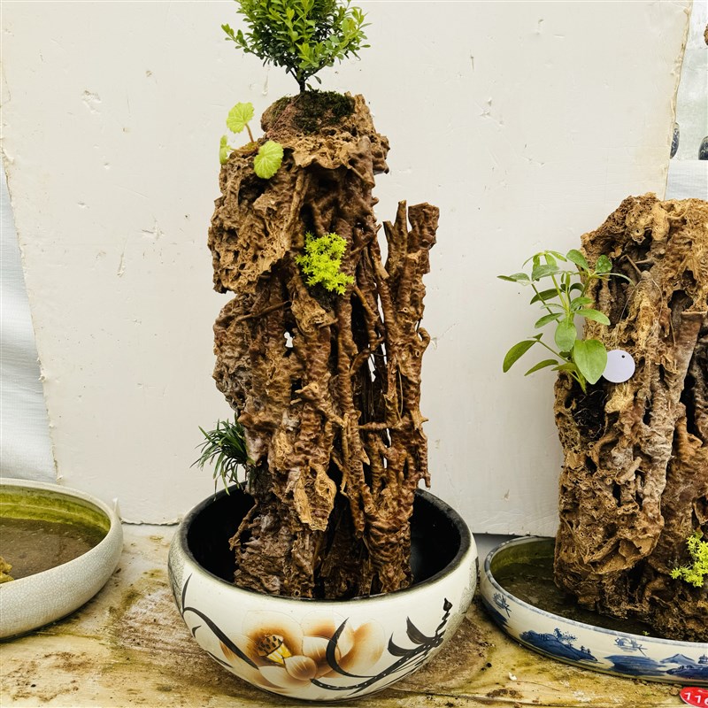 吸水石 天然芦管石钟乳原石上水石假山盆景摆件植物化石鱼缸造景