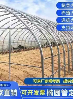 养殖大棚全套大棚骨架家用温室种植棚专业养鸡棚羊棚牛棚养猪大棚