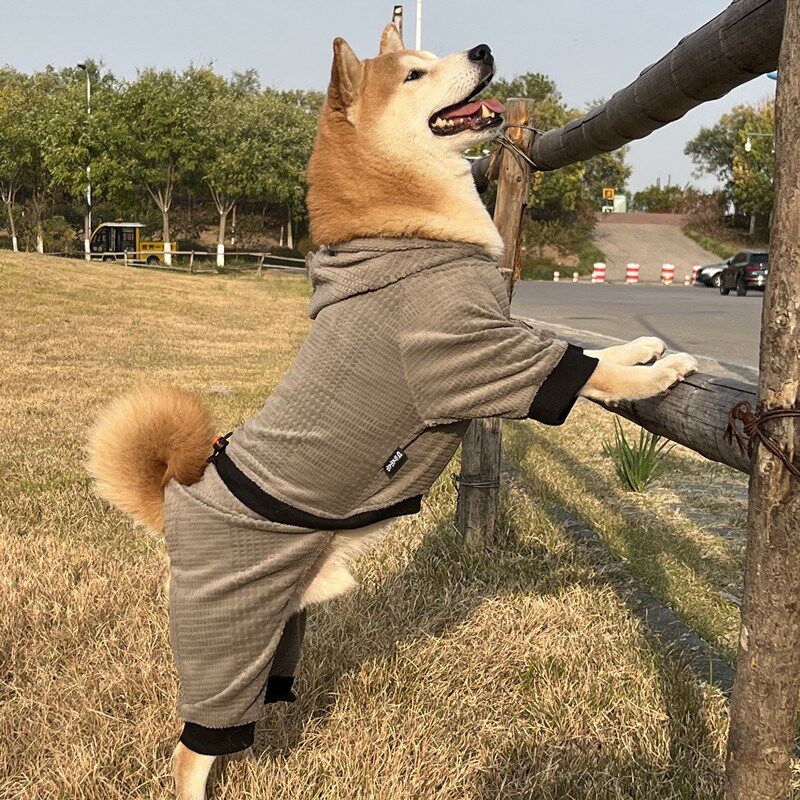 中大型犬衣服拉布拉多春秋狗卫衣新款宠物保暖冬季金毛柴犬四脚衣