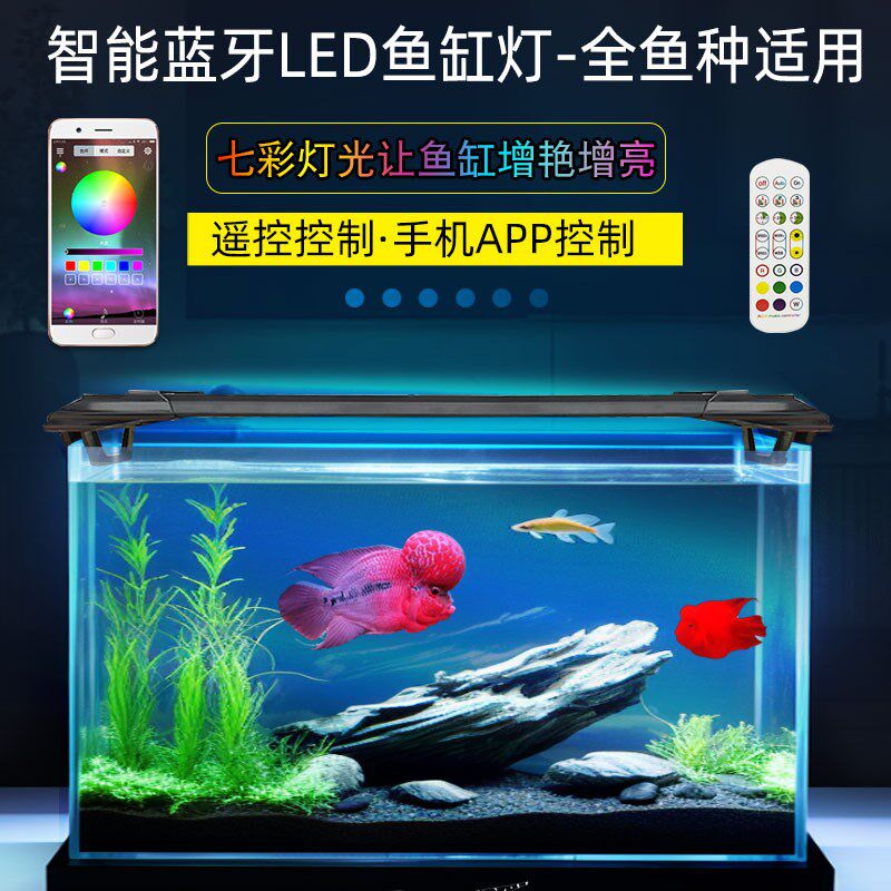 LED遥控七彩变色手机蓝牙金龙红龙鱼定时专用灯水族防水鱼缸造景