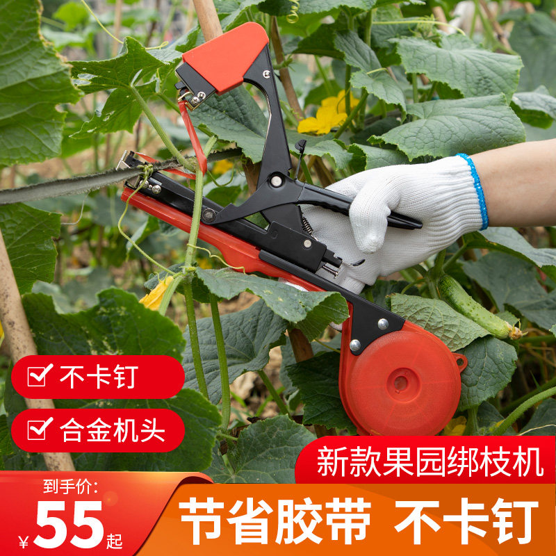 绑枝机新款葡萄西红柿番茄蔬菜绑藤专用胶带钉子黄瓜绑蔓夹捆绑机