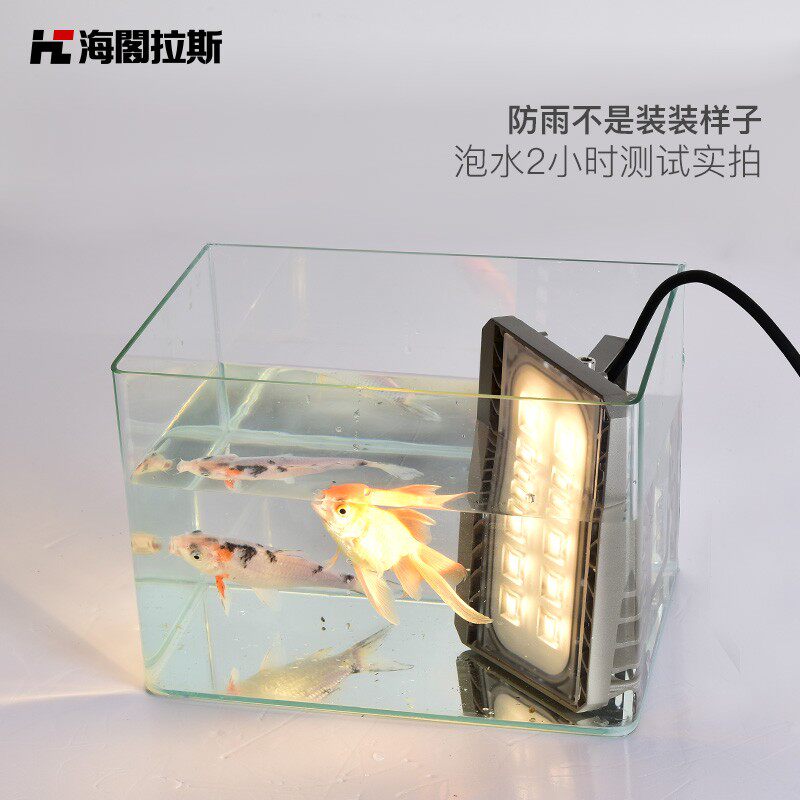led投光灯50W100W户外篮球场照明灯防水投射灯室外工程专用泛光灯