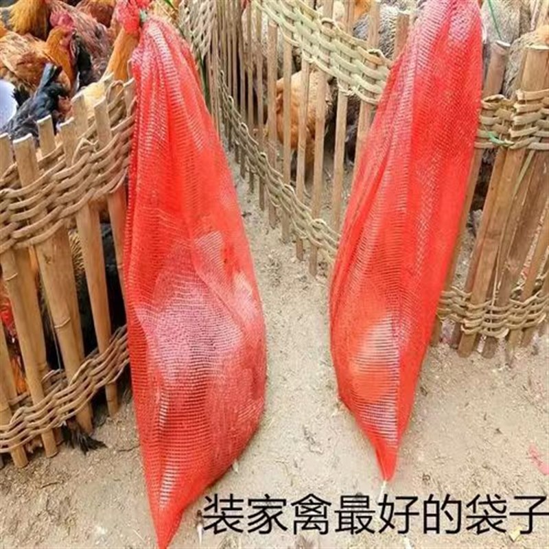 家禽活禽专用袋加密加厚橘子橙子柚子洋葱大蒜玉米白菜网眼袋网兜