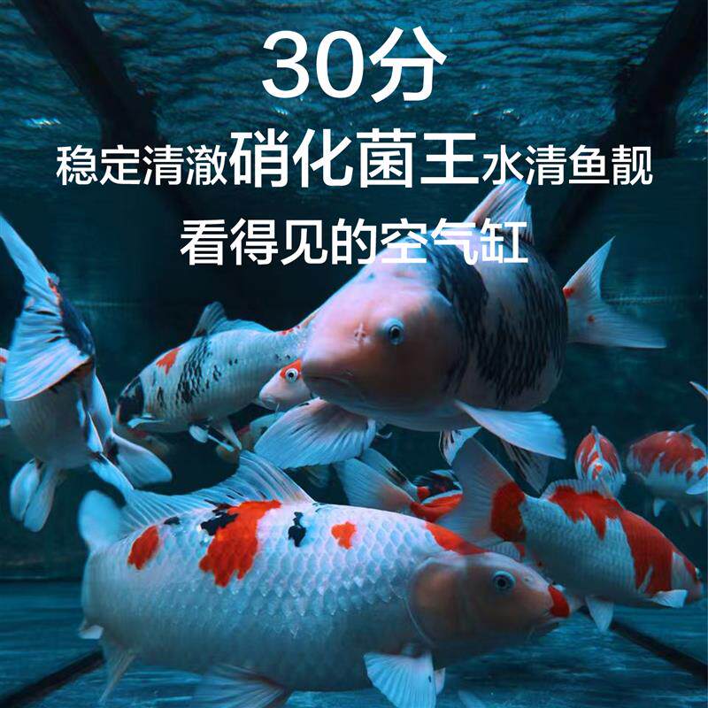 硝化细菌鱼缸专用净水剂水质净化清澈消化活菌稳定生物酶分解粪便