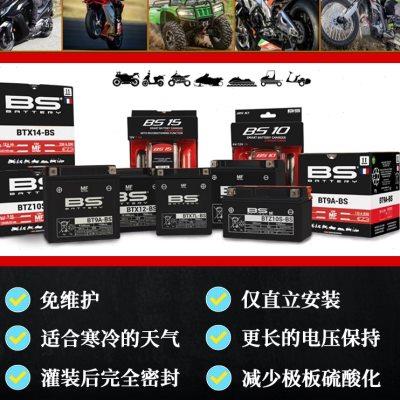 法国BS踏板摩托车电瓶标致SF4/3标志姜戈150三阳巡弋180蛟龙400池