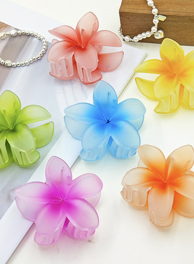 亚马逊爆款抓夹磨砂鸡蛋花发夹欧美跨境发卡紫荆花抓夹鲨鱼夹