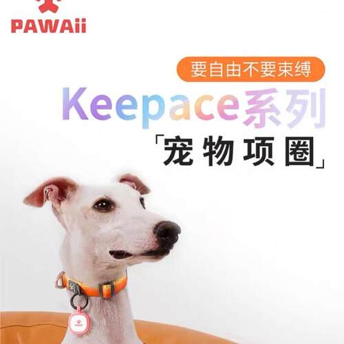 Pawaii怡爪狗狗项圈宠物防勒中大型犬泰迪柴犬脖圈外出丢失牵引绳