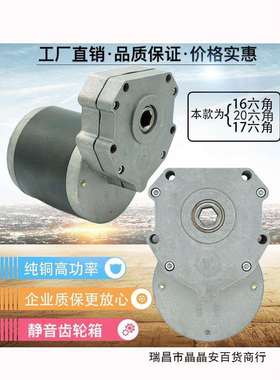 12V24V600W45转直流电机马达带链轮60V施肥旋耕农机电滚子