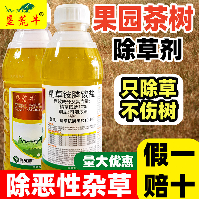 精草铵膦铵盐除草剂果园茶园强力除草烂根剂牛筋草杀草剂农药正品