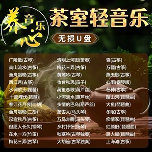 轻音乐无损u盘歌曲五音疗愈茶室禅音养生馆纯古典钢琴曲车载优盘