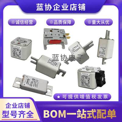 保险丝100NHG01B 125NHG01B 160NHG01B 巴斯曼 熔断 断路器