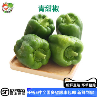 青甜椒青椒菜椒绿色圆椒新鲜蔬菜灯笼椒青圆椒甜椒彩色现摘太空椒