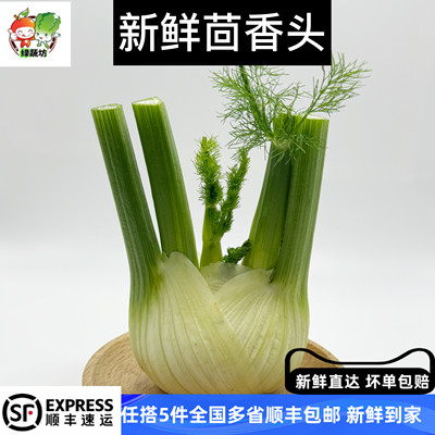 新鲜茴香头1-5斤 新鲜茴香根茴香球茎 西餐料理香料食材