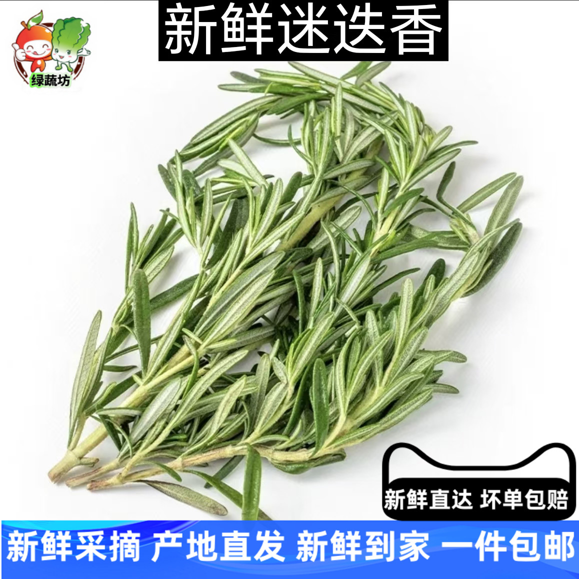 新鲜迷迭香250g 迷失迷迪香烧烤烘焙调料西餐煎牛排食用香料配料