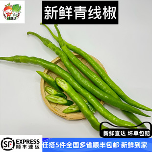 新鲜薄皮线椒蔬菜批发尖椒辣椒青椒二荆条新鲜青线椒