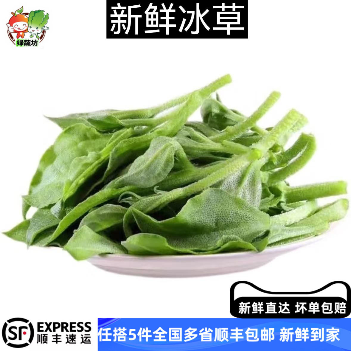 新鲜冰草250g 冰菜新鲜蔬菜生吃非洲冰叶野菜沙拉凉拌蔬菜食材