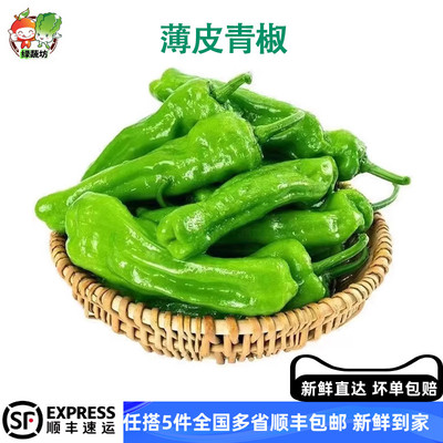 薄皮青椒现摘新鲜薄皮辣椒