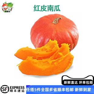 红皮南瓜黄圆南瓜小金瓜万圣节金丝南瓜灯雕刻南瓜小南瓜新鲜蔬菜