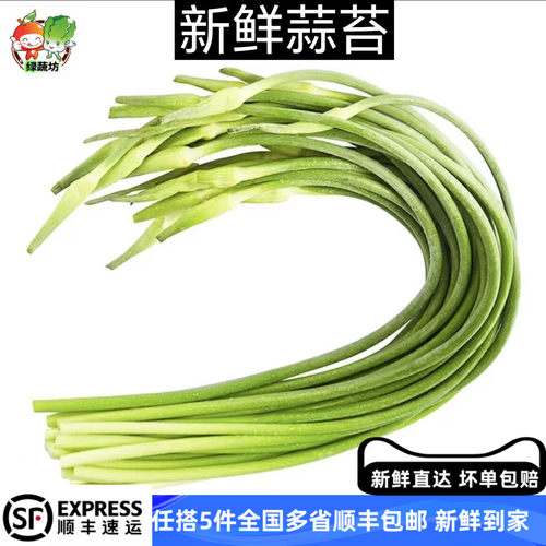 新鲜蒜苔500g新鲜蔬菜现摘农家菜家常菜