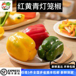 新鲜红黄绿彩椒3只约550g 灯笼椒方椒青甜圆椒辣椒蔬菜沙拉食材