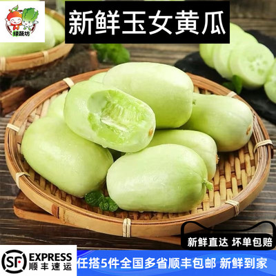 新鲜玉女黄瓜拇指小黄瓜鲜嫩爽口迷你水果黄瓜250g
