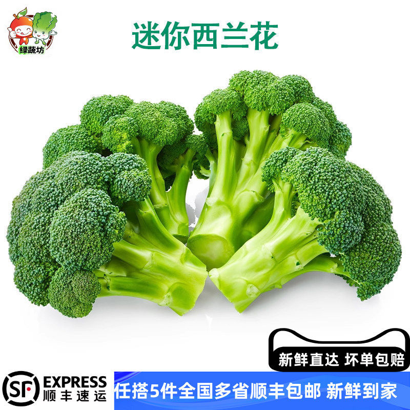 迷你小西兰花绿花菜露天蔬菜新鲜脆嫩青花菜绿花菜西蓝花椰菜蔬菜