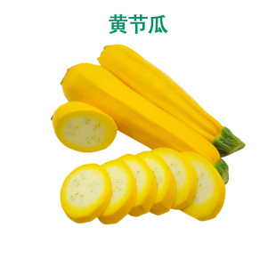 意大利新鲜黄节瓜青蕉瓜黄蕉瓜黄色葫芦西餐蔬菜沙拉生菜即食水果