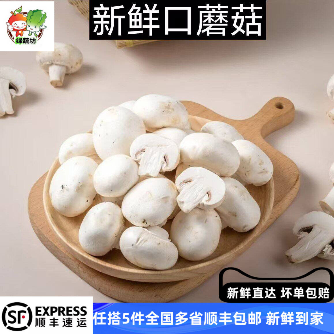 新鲜蘑菇约500g 口蘑 食用菌菇 白蘑菇 口菇 双孢菇 煲汤炒菜蔬菜