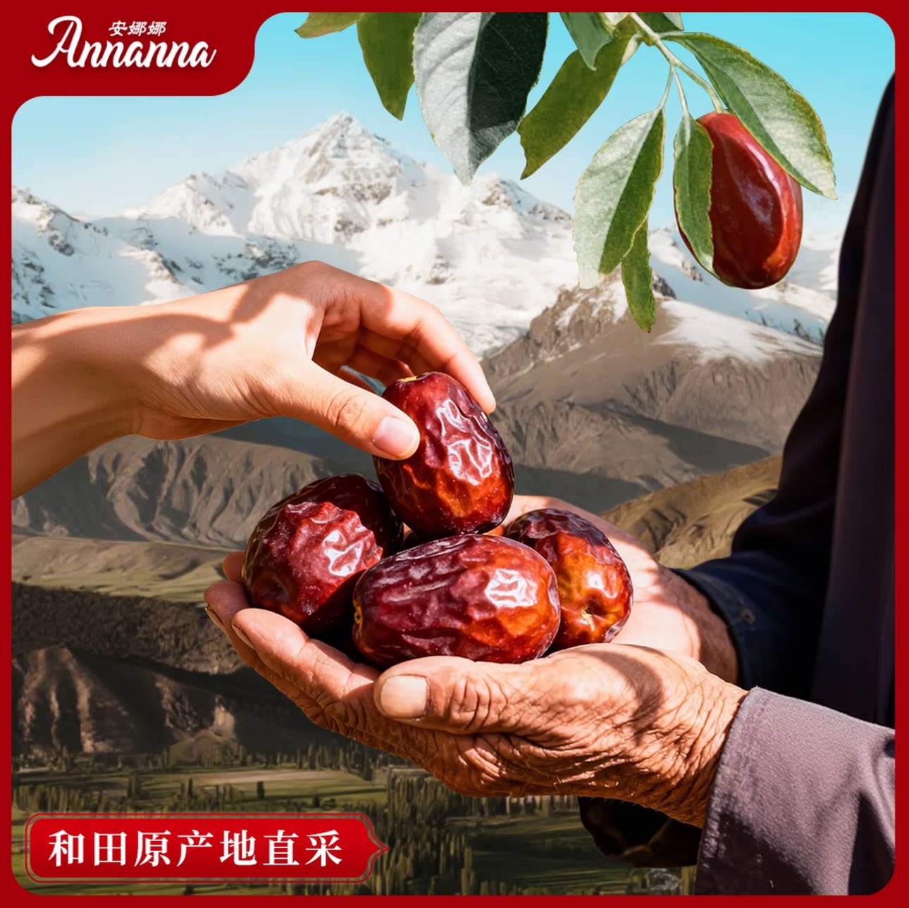 【当季新枣】新疆和田特级大枣五星大红枣1000g煲汤泡茶产妇零食