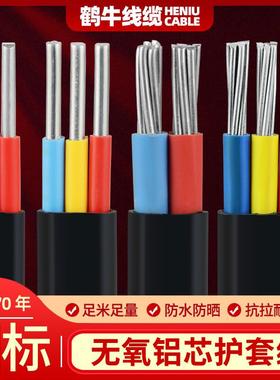 国标2芯3芯电缆线铝芯家用户外电线 4 6 10 16平方架空铝线护套线